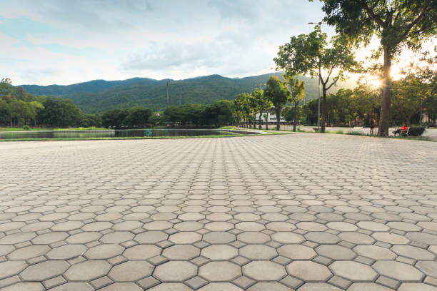 Best Residential Driveway Paver Services  in Milaca, MN