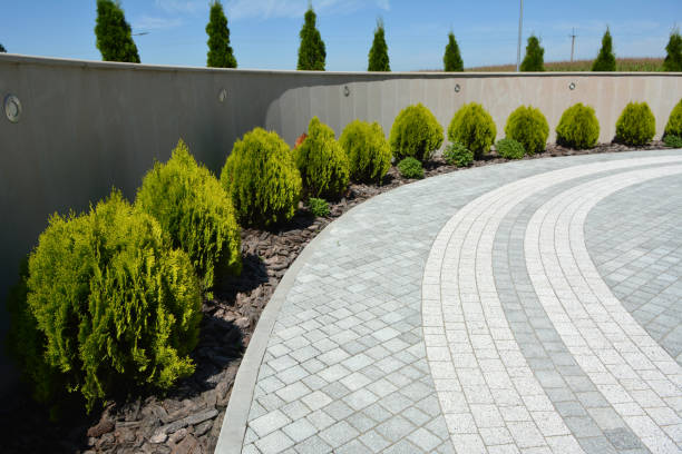 Best Driveway Pavers Near Me  in Milaca, MN